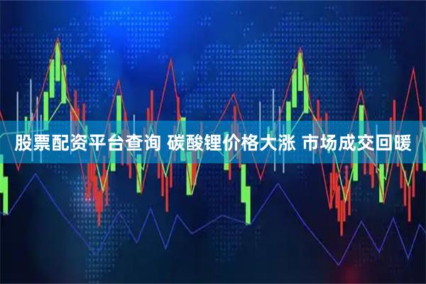 股票配资平台查询 碳酸锂价格大涨 市场成交回暖